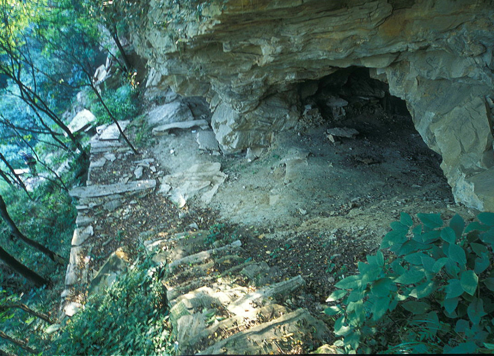 神农架|一代中国奇人，倾家荡产找野人，三任妻子离他而去，他说从不后悔