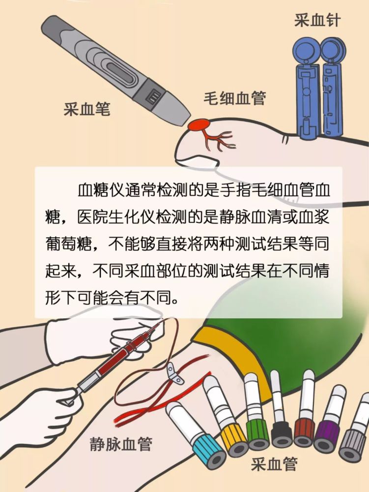血糖仪|糖尿病人人手必备的血糖仪，你了解它的秘密吗？