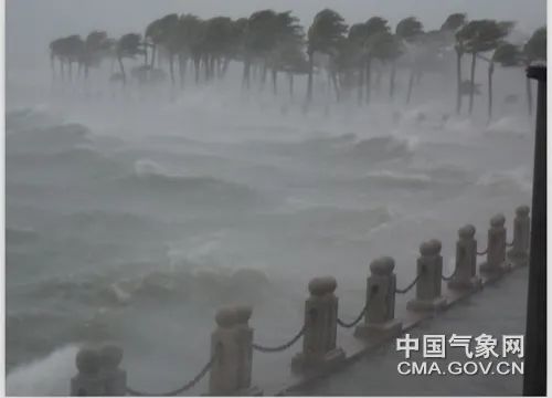 台风|“浪卡”来袭，你真的能看懂台风预警吗？