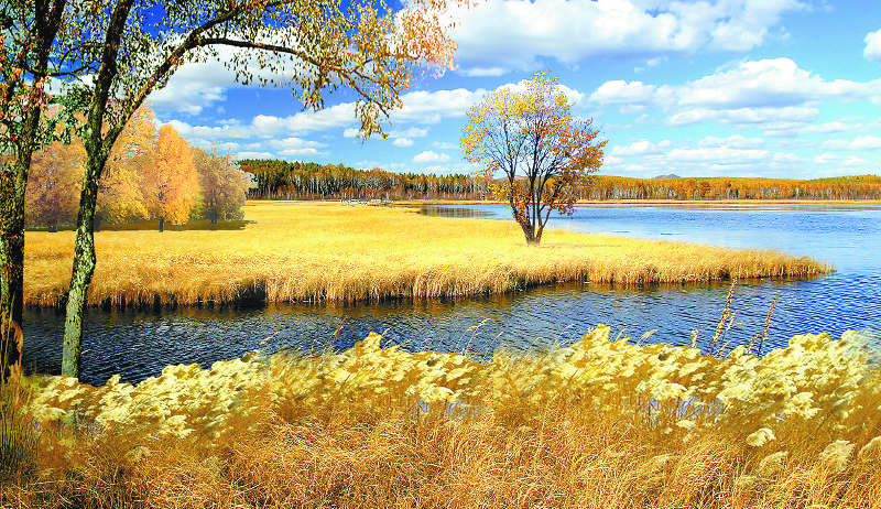 林来水|张家湾公园一期正式迎客，工业腾退地上建起副中心“绿肺”