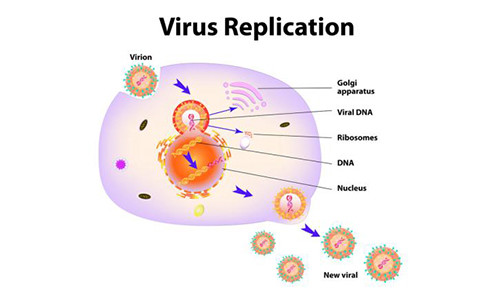 癫痫|癫痫病的病因都有什么呢