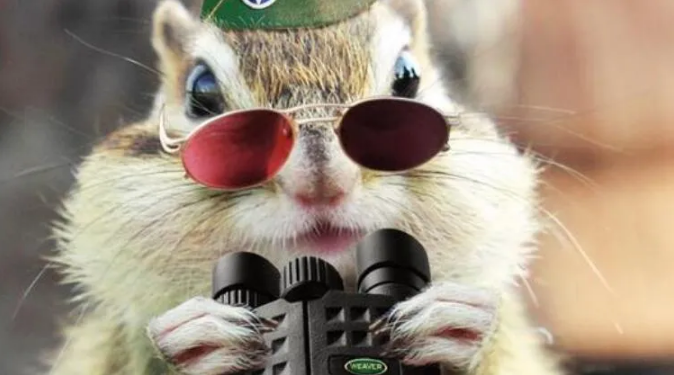 张学良|20个颠覆三观的事实：“张学良听过周杰伦的歌？”哈哈哈哈……