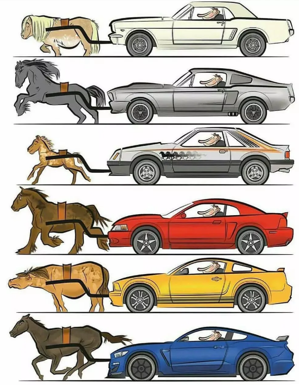 张学良|20个颠覆三观的事实：“张学良听过周杰伦的歌？”哈哈哈哈……