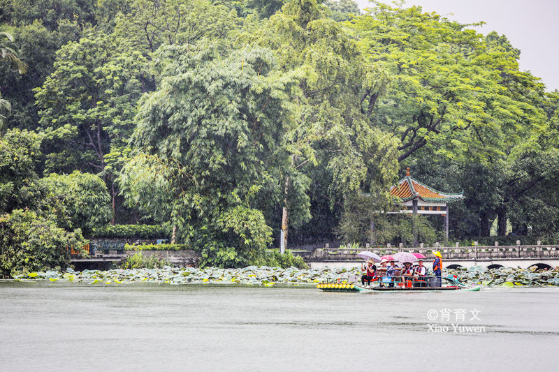 肇慶星湖濕地公園，距廣州僅一小時的世外桃源。