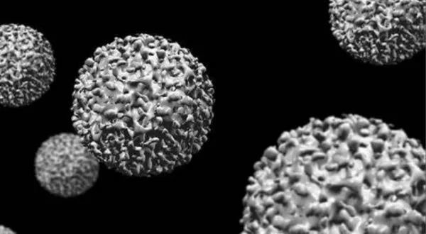 丙肝|诺贝尔生理学和医学奖授予研究丙肝的科学家，那么丙肝有哪些新研究进展？