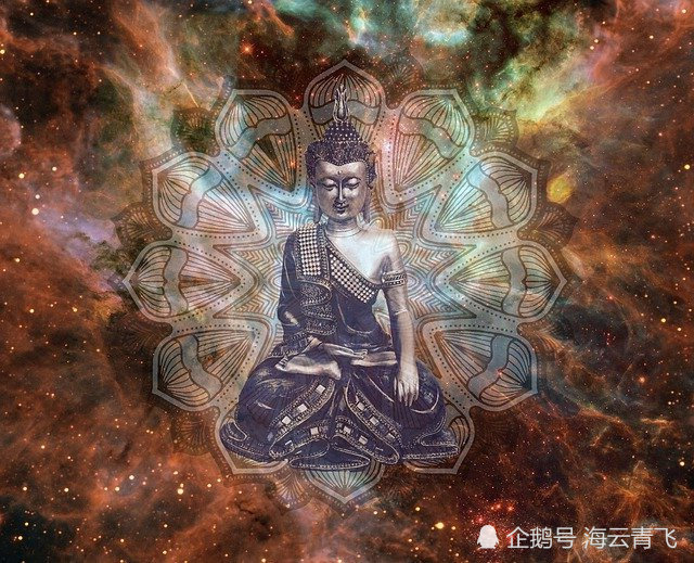 物种|为什么说人类至今无人成道？开悟者道破天机：无人知道物种会演化