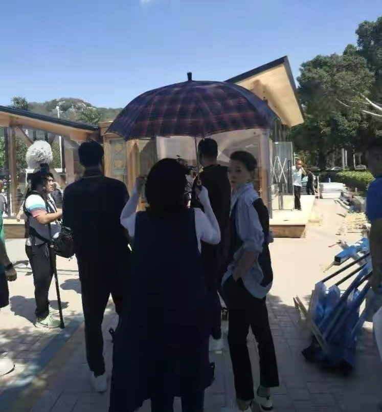 董卿|46岁董卿投入工作每天只睡四小时，近照曝光容颜憔悴惹人怜