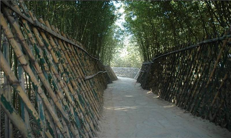 园林建筑|北京又一公园火了，占地6.4公顷，唯一拥有“日本风格”的园林建筑