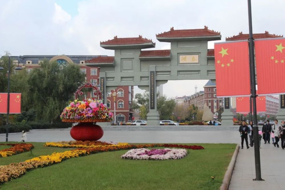 万株寒地露地菊花点靓泰来县泰湖公园