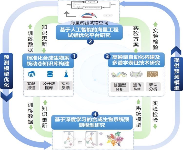 深圳大学牵头项目得到“国家重点研发计划”资助！