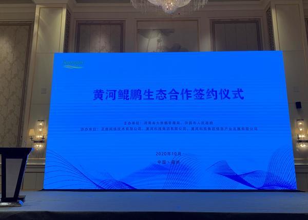 紫光数码|十多家企业与Huanghe牵手，共唱“黄河大合唱”