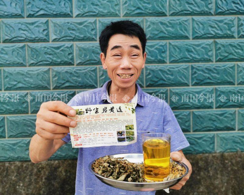 岩黄连|爽！柳州一农民全家上馆子，结账时掏出一土货，老板钱都不收