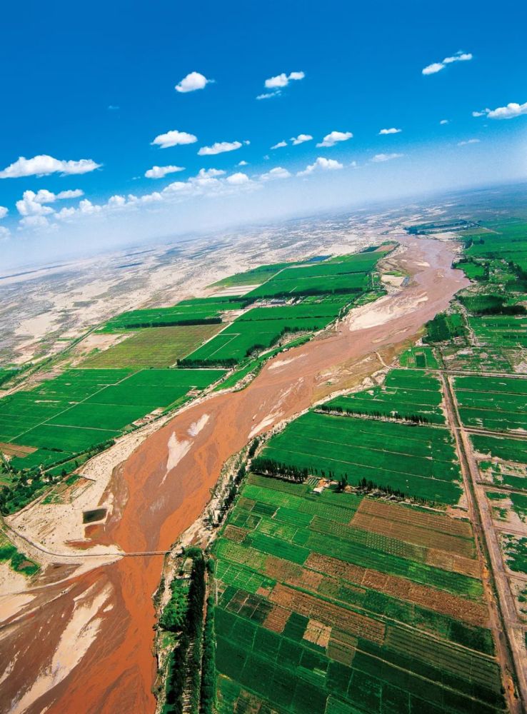 中国最长的内陆河,孕育了世界上最大的一片胡杨林,想去看看吗?