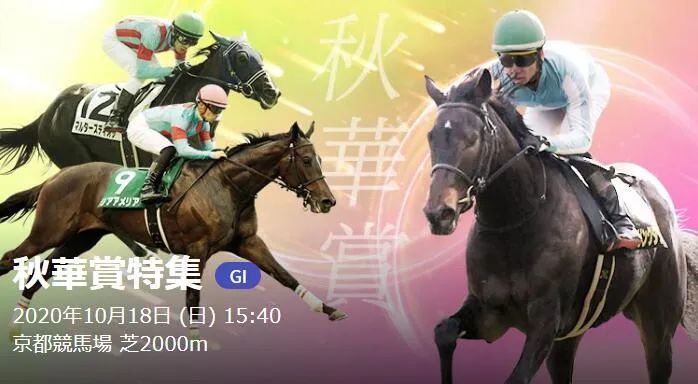 四战全胜的日本三岁雌马 勇敢策略 剑指日本雌马三冠王 腾讯新闻