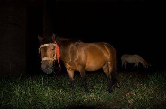 鬼市|凌晨三点的北京鬼市，太阳出来就消失，您敢去吗？