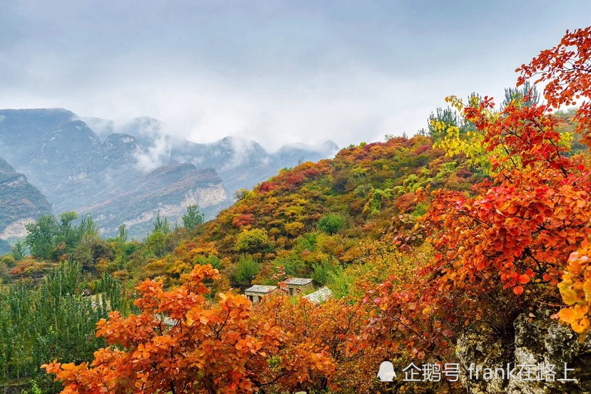 北京|北京｜如果今生只能去一次北京，那我选秋天