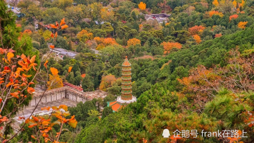 北京|北京｜如果今生只能去一次北京，那我选秋天