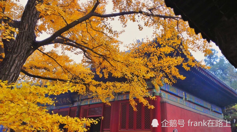 北京|北京｜如果今生只能去一次北京，那我选秋天