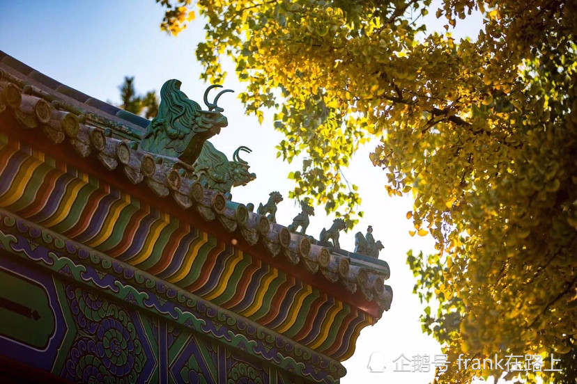 北京|北京｜如果今生只能去一次北京，那我选秋天