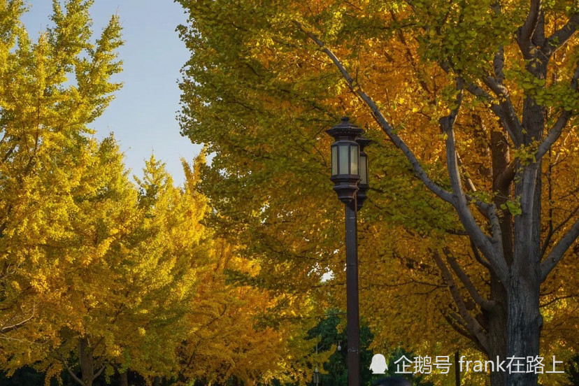 北京|北京｜如果今生只能去一次北京，那我选秋天