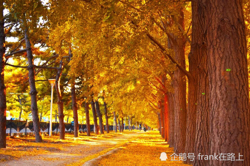 北京|北京｜如果今生只能去一次北京，那我选秋天