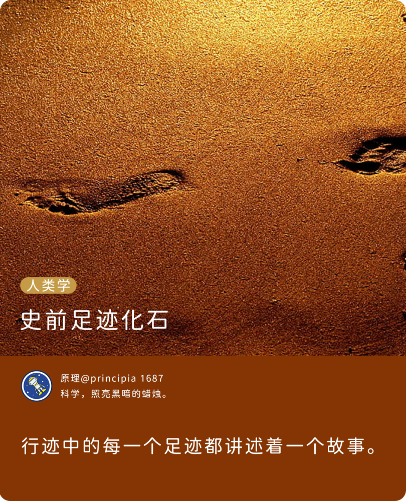 孩子|已知最长的史前人类行迹，讲述了这样一个惊人的故事