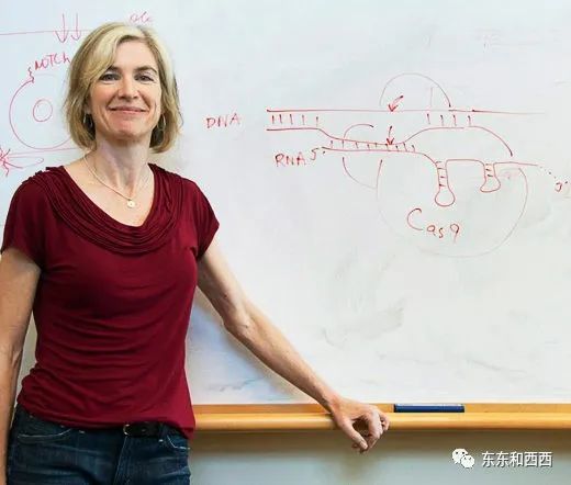 诺贝尔奖|美丽有智慧，人狠话不多，今年的诺奖得主也太好看了吧……