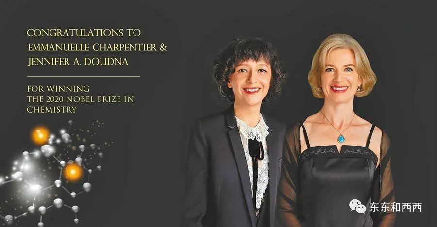 诺贝尔奖|美丽有智慧，人狠话不多，今年的诺奖得主也太好看了吧……