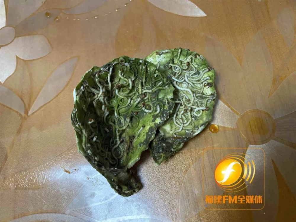 福州李女士9.9元网购生蚝,里面长满虫子?_腾讯新闻