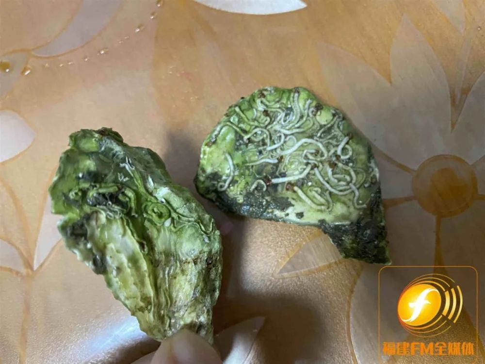 当场吐了福州李女士99元网购生蚝里面长满虫子