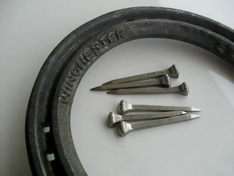 马儿|为什么要给马钉马掌，马儿会疼吗？