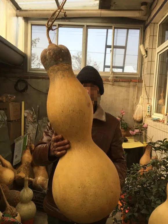 葫芦也要盘半人高的,天珠要玩半斤重的,金刚要刷头这么大的,华子要抽