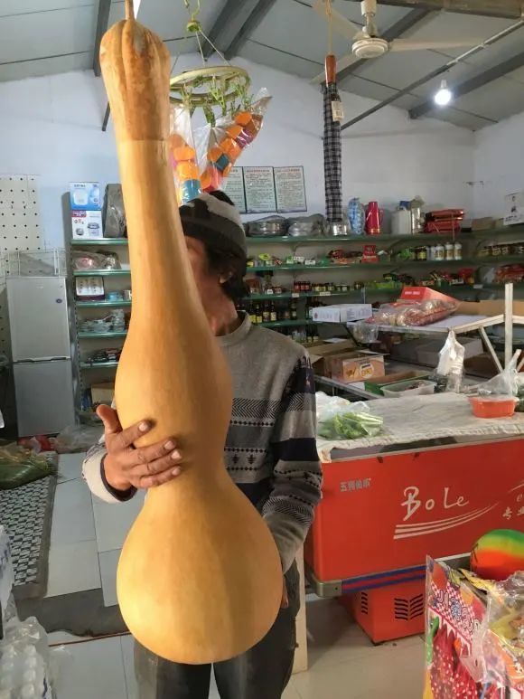 纯爷们才敢挑战的巨型文玩葫芦