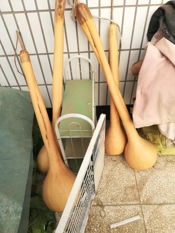 纯爷们才敢挑战的巨型文玩葫芦