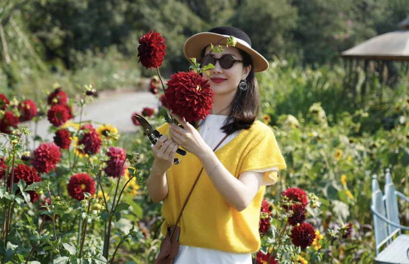 董花花|董花花晒贵妇生活，成功捍卫婚姻后状态佳，张大奕事业却遭重击