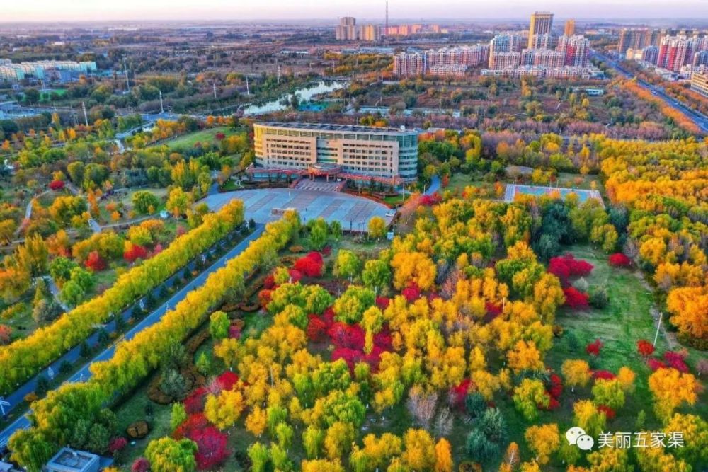 五彩斑斓,五家渠最美秋色已上线_腾讯新闻