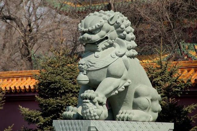 舞龙|中国本土只有老虎没有狮子，为何庆祝节日要舞狮，而不是老虎？