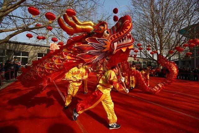 舞龙|中国本土只有老虎没有狮子，为何庆祝节日要舞狮，而不是老虎？