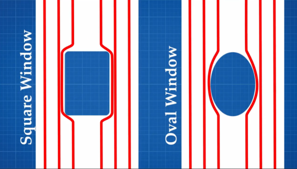 万物|会晕车的人开车为什么没事？坐后排为什么容易晕车？｜趣问万物