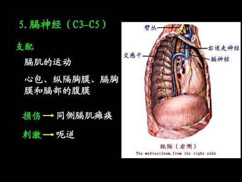 持续性打嗝得小心，有些是晚期肺癌造成的。