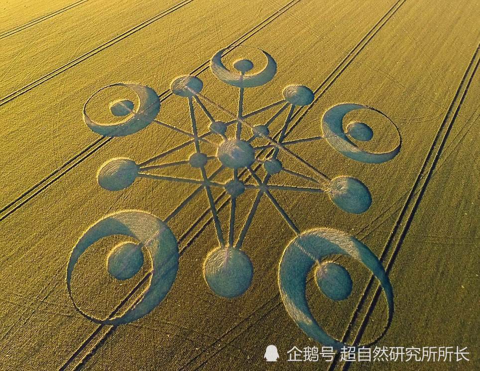 麦田|麦田怪圈竟然是假的？究竟是人为还是某种未知的杰作？