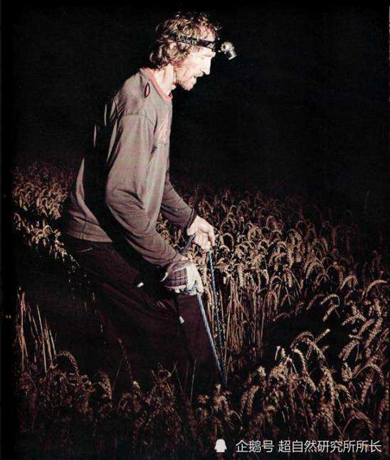 麦田|麦田怪圈竟然是假的？究竟是人为还是某种未知的杰作？