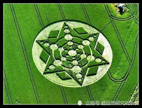 麦田|麦田怪圈竟然是假的？究竟是人为还是某种未知的杰作？