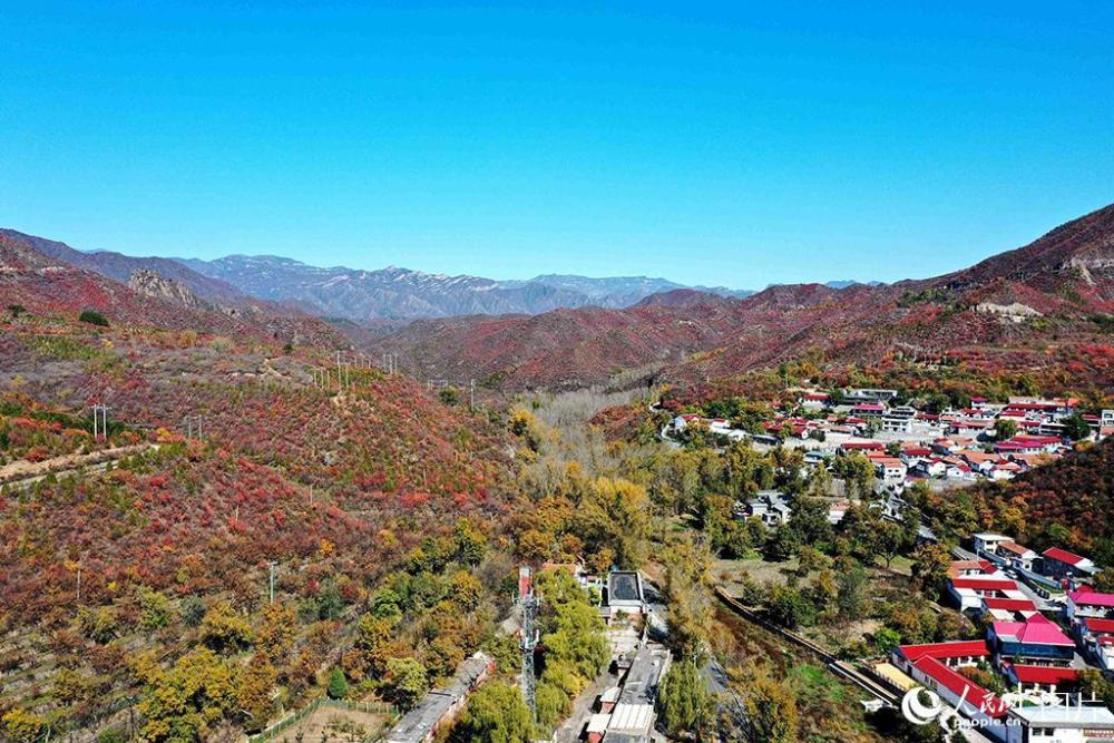 百花山|京郊百花山迎来最美秋景