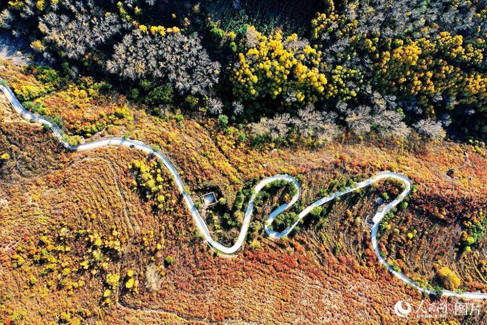 百花山|京郊百花山迎来最美秋景