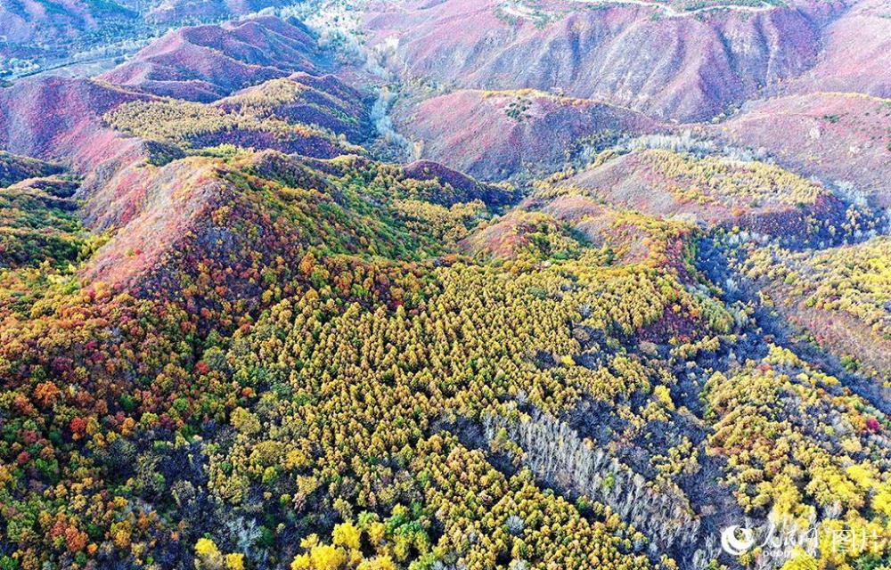 百花山|京郊百花山迎来最美秋景