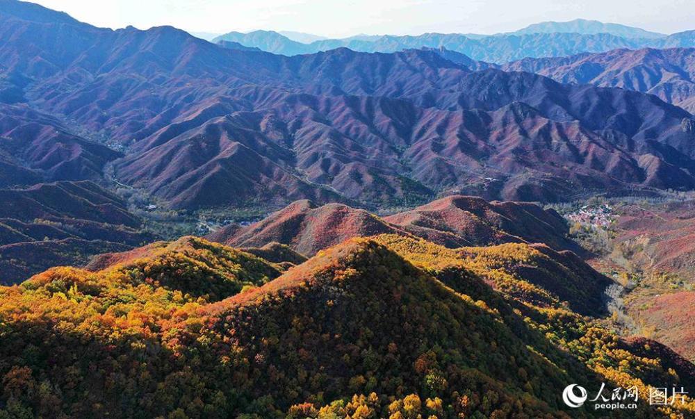 百花山|京郊百花山迎来最美秋景