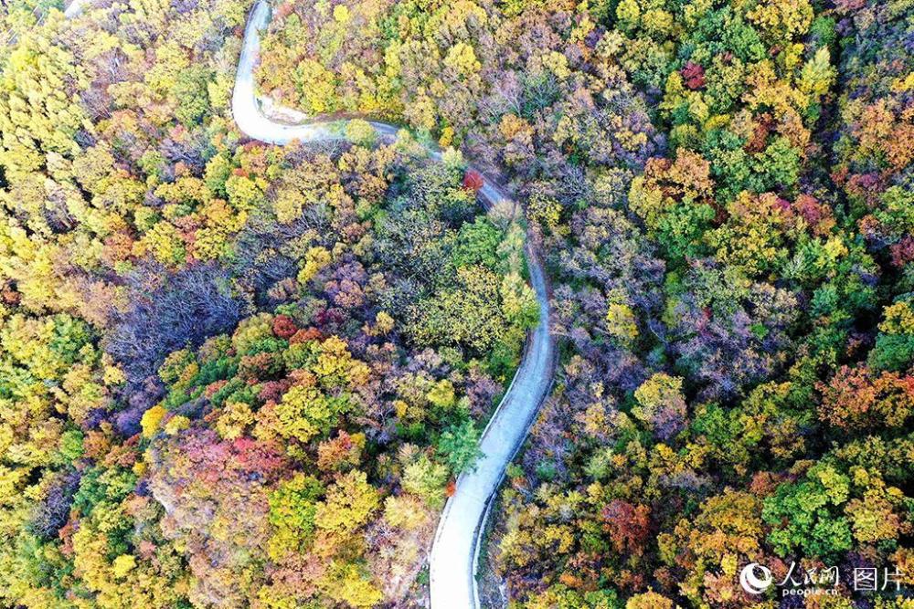 百花山|京郊百花山迎来最美秋景