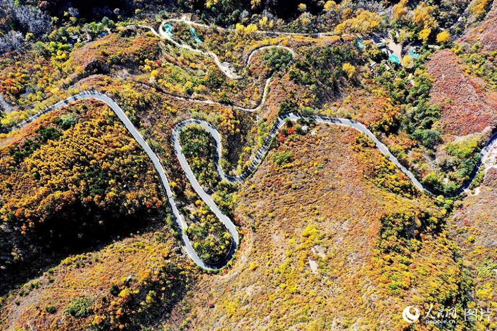 百花山|京郊百花山迎来最美秋景