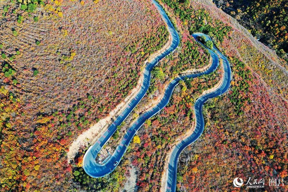 百花山|京郊百花山迎来最美秋景